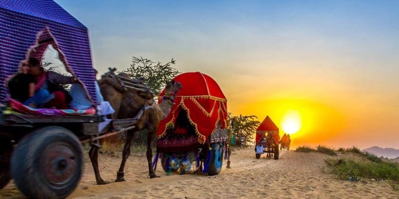 Pushkar Camel Safari